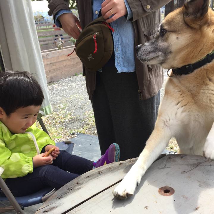 0fa7c83b 2407 49c4 9cc7 0b6be5a1cb67 1523155897887