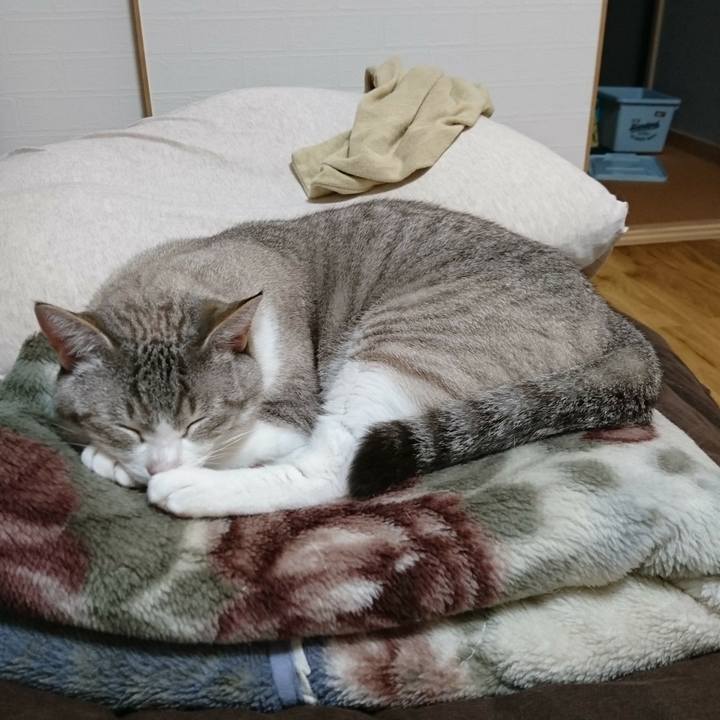 0fa7fda7 c71b 4d0b a22d 4856746ded9d 1588603378431