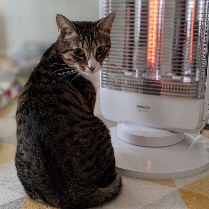 0fa916c0 d659 4750 ba7e 1d9d2fe896d3 1610406602585