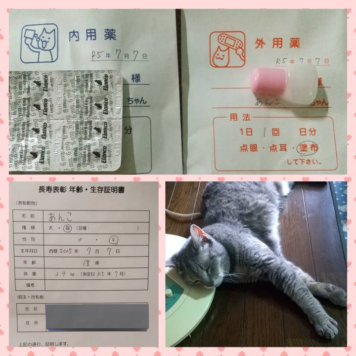 0fa9baec 5610 449c 9548 6ec9a28cc162 1688692005114