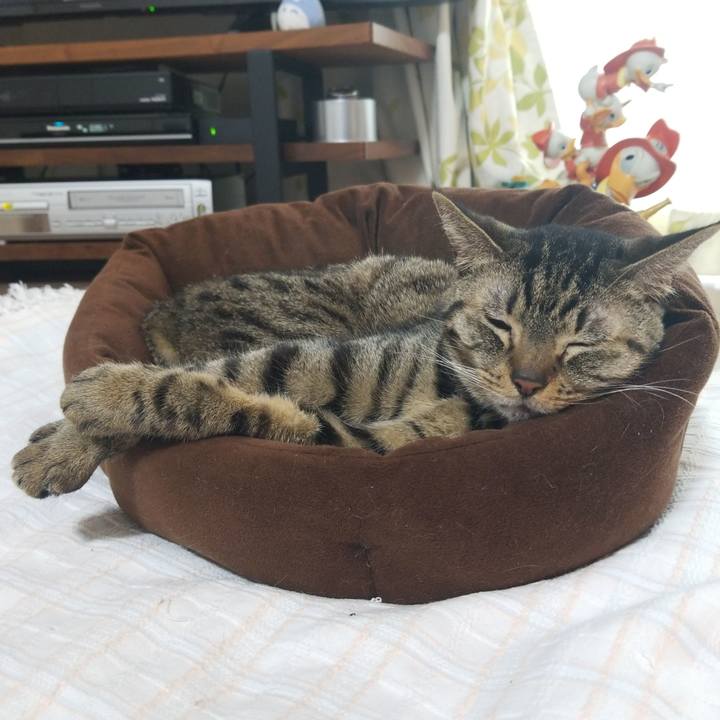 0fa9d91c f41f 49c6 b39a 32ba5d97e973 1579997102037