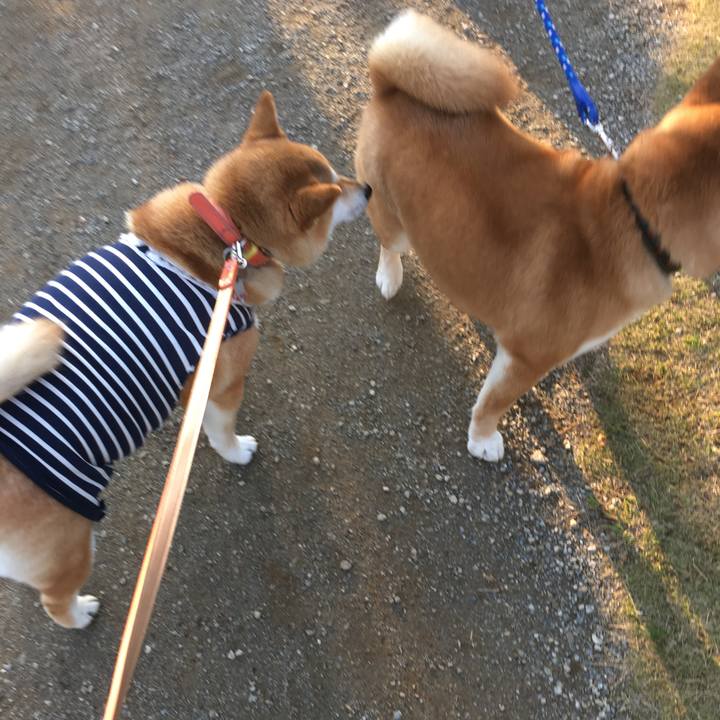 0fa9f473 a587 4b89 be38 8eda4137e1e2 1521275460758