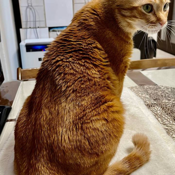 0faa19e4 a51a 41d5 a343 3c96103b4174 1638740347539