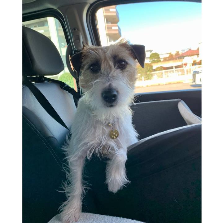 0faa4728 e787 4e1f a838 9c740ed30058 1612501242471