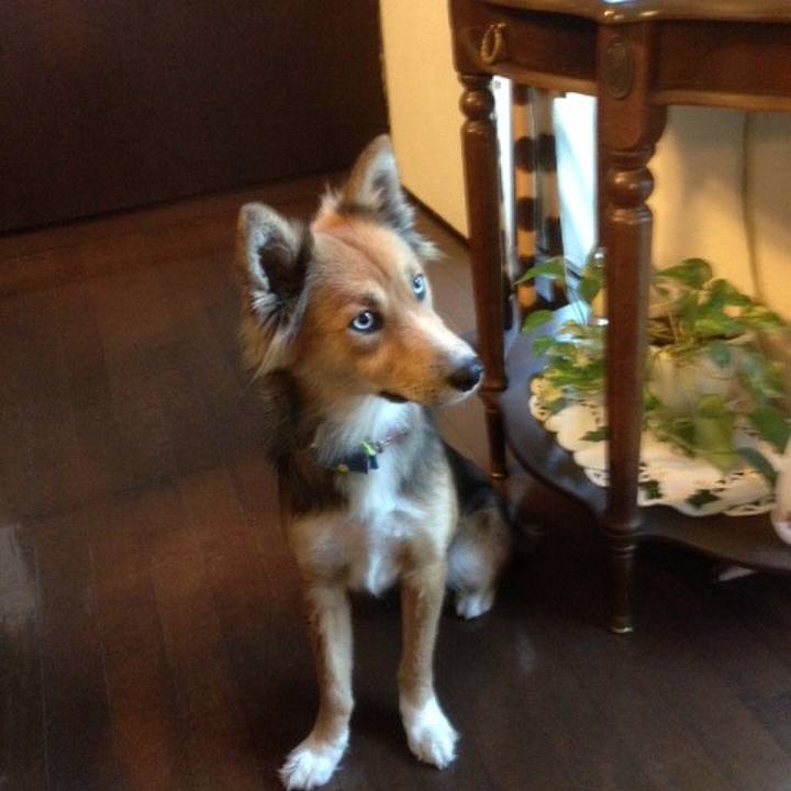 0faa7d47 79e5 49db 9a83 f0564f1c7a13 1563125432901