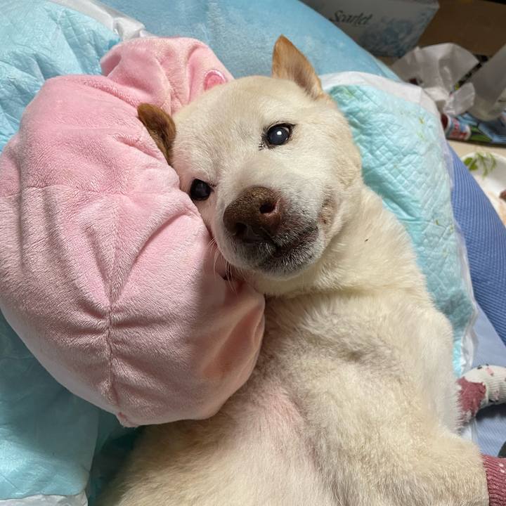 0faa886d 5c04 4cc4 82c8 1951b71b7fb5 1682607094573