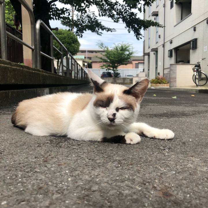 0faa9fde a212 46e3 91b0 12256ce3422d 1594647692267