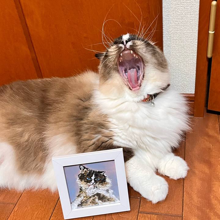 0faae5a4 5011 4eac a16f c9bcbaaf1711 1669533583190