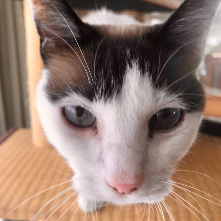 0fab1e35 4733 4a91 b01b ba65514200d5 1620112009058