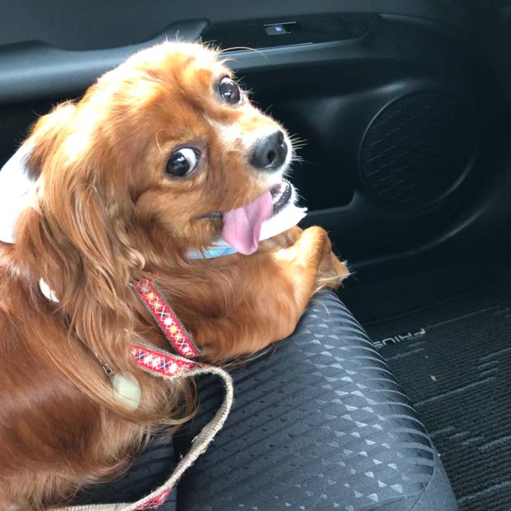 0fab2d84 3ec8 4702 99fc 7b9fe7bf8d3a 1593219676089