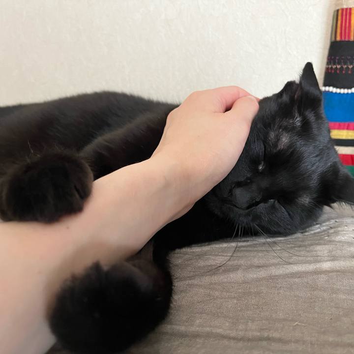 0fab5fba e90c 439a b21f 5a53375cd277 1720233258029