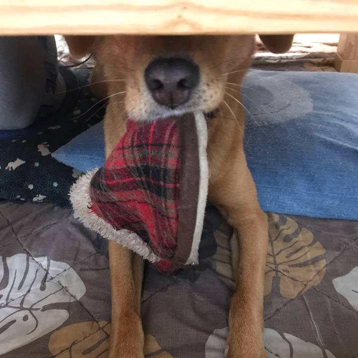 0fab6cf1 976d 4cd5 9565 16e38fa38e86 1539237810991