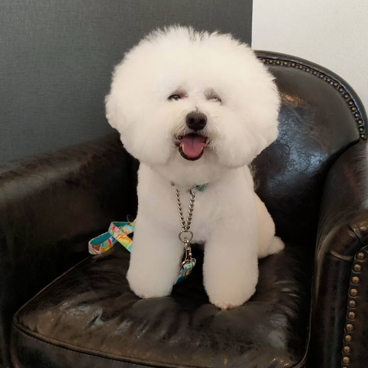 0fab8a36 31c4 487f 8e20 65ff074cea6e 1763250269209