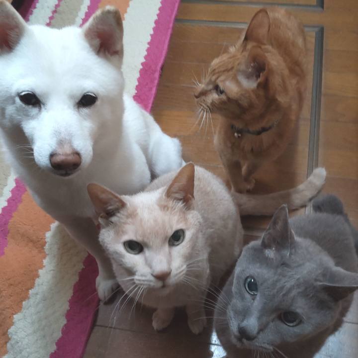 0fab9725 cf61 47fe a154 9ae246e5cfa5 1652613179521