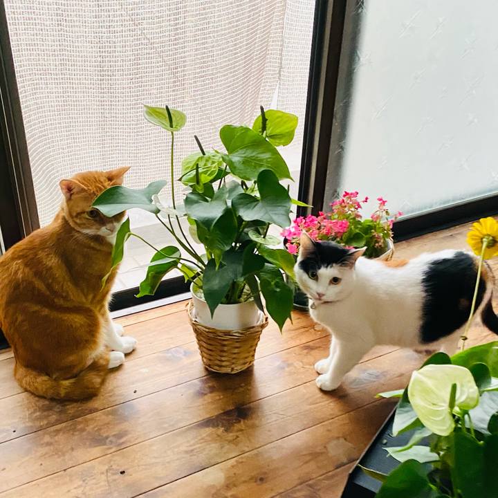 0fabb58c 17d1 40f4 9046 b2b89b592a81 1664180302183