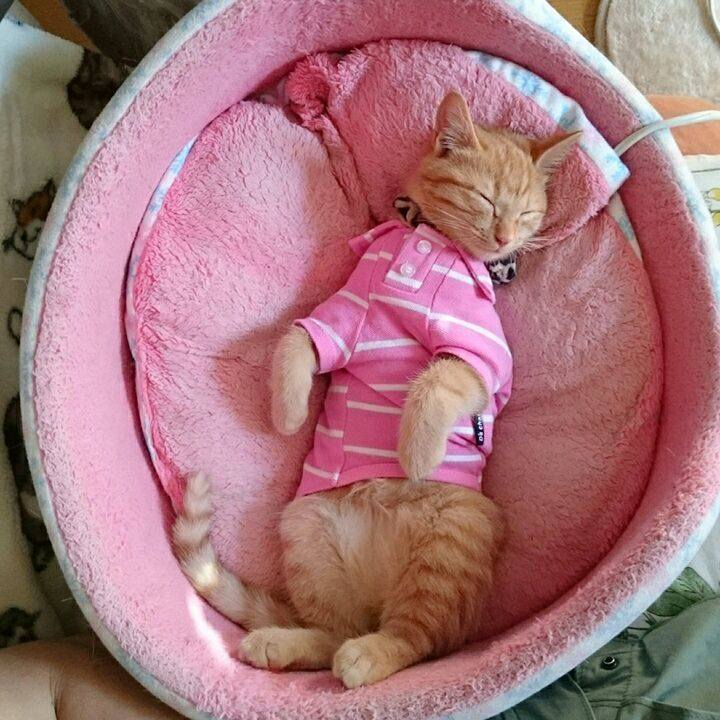 0fabc7d7 867c 4056 85bb 6f068d8a2fe3 1543120073132