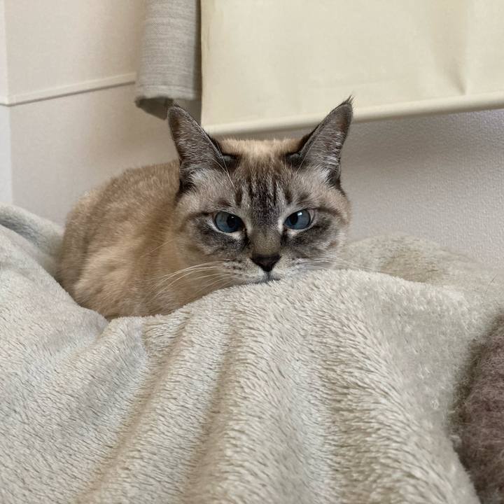 0fabe35a ec83 4d8a a16f 2c64d68b25a2 1764580710723