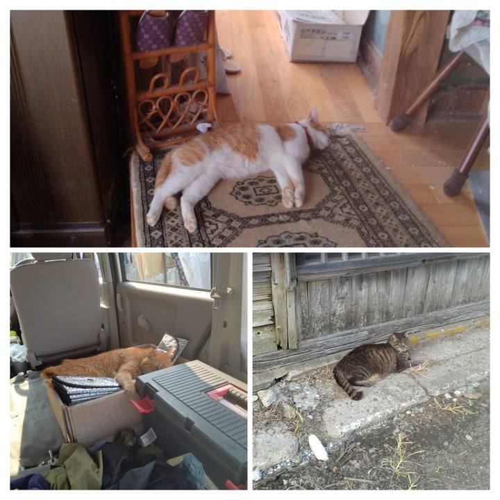 0fabf653 d728 4b2e b33e d12bba6c90ac 1751704825955