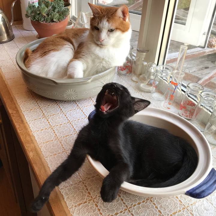 0fac4267 5e5a 451a 81c9 3e71f679dbc8 1564784326192