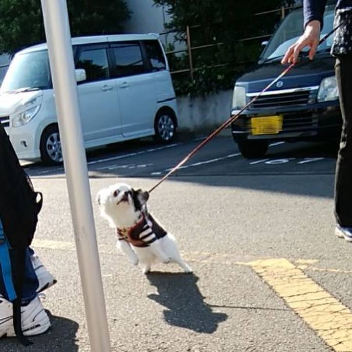 0fac5ad7 85a7 46f3 96a0 7cae9c7a2710 1563087183181