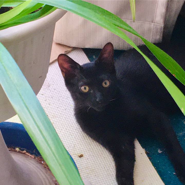 0fac66ed b800 4477 a060 6083b8912b0c 1630121436875