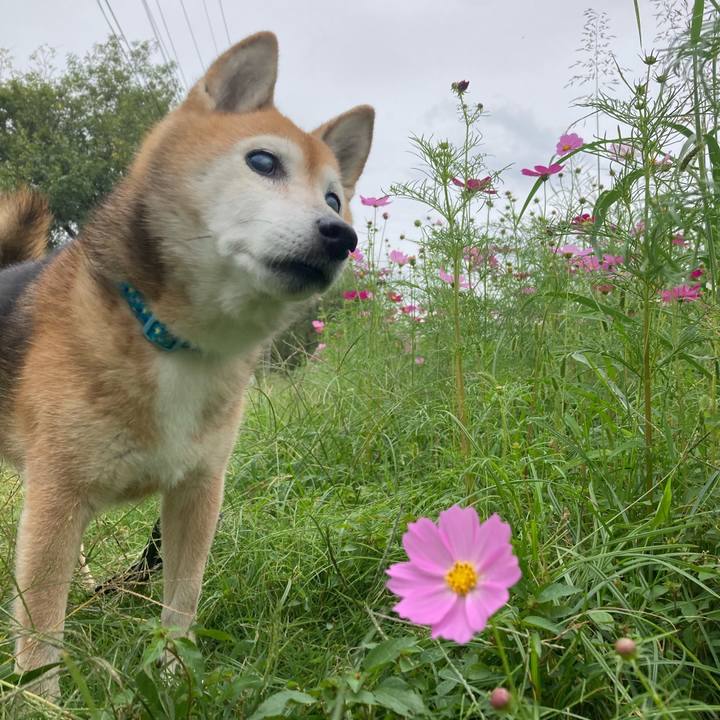 0fac8c5e bd9d 4e7b b1b8 ce263dc379f5 1760411955976