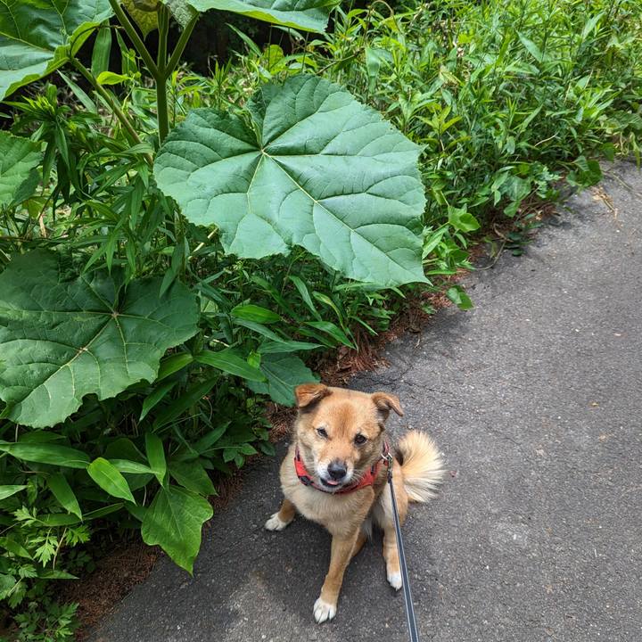 0faca65b 1c7b 4e1e 8cd3 36641c35eea8 1685801848785