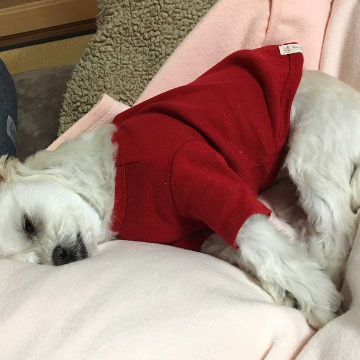 0facd1d6 bf74 4153 aaaf 55d5794c35a5 1512392167544