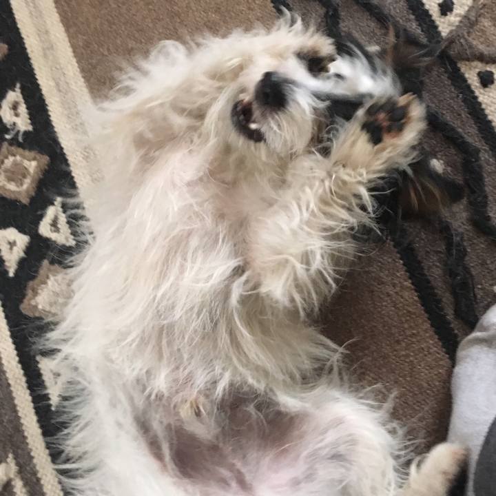 0face538 70f0 43ee 9eff 05a03ad250a5 1524005713151