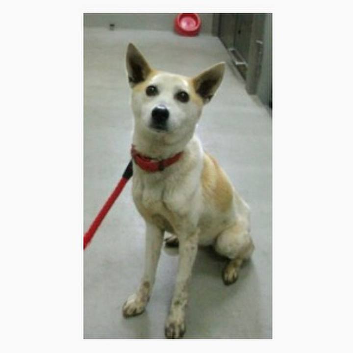 0fad0e19 f40b 4e38 8e09 b12589d122dd 1589383145378