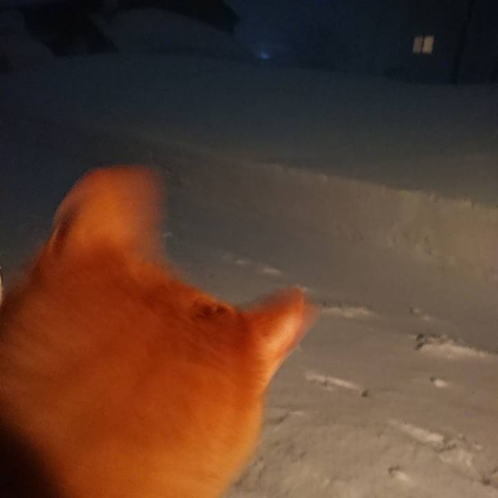 0fad11a2 2a77 44c6 b85d 771f918077d4 1642158104928