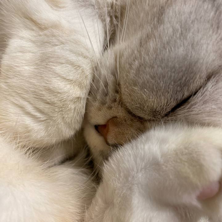 0fad11b6 fd62 4d57 bf9f f34959e8ad64 1775657086033