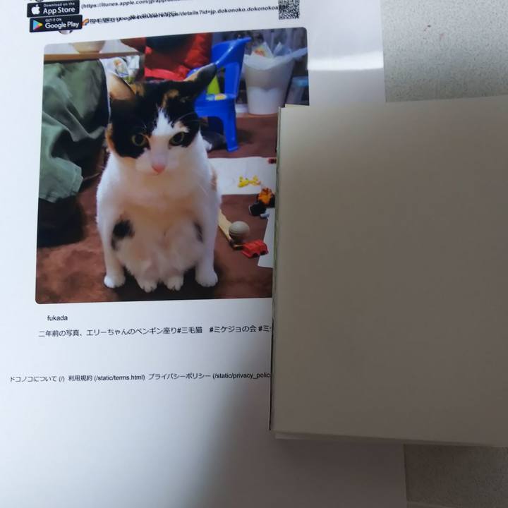 0fad1918 d1a2 4851 b080 cc51a6dd5d2f 1581814270071