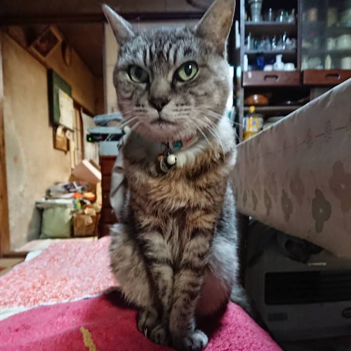 0fad1ddc f8c5 45fc 980b 8d34eacb0906 1569321907731