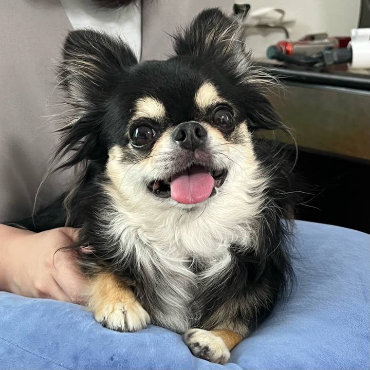 0fad5ff9 5054 487e 944d eb6f5dc8319b 1691450273297