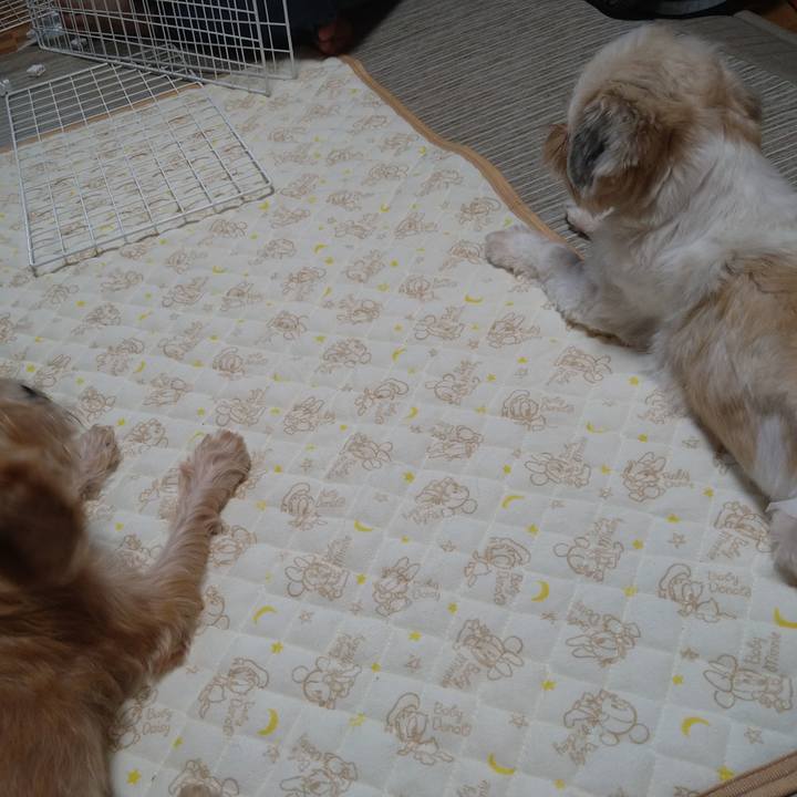 0fad9840 05f6 4578 8222 7932ccc023ab 1599353091829