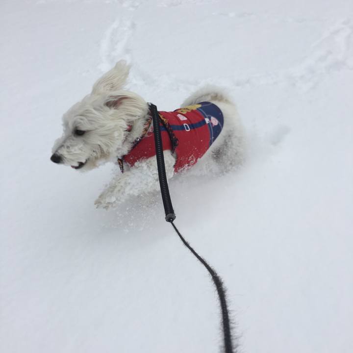 0fad9978 50f8 44a9 81d5 93237d8a985e 1518546780548