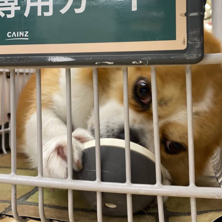 0fada51a 2116 46cf 8fd9 c4573556fe54 1739864512540