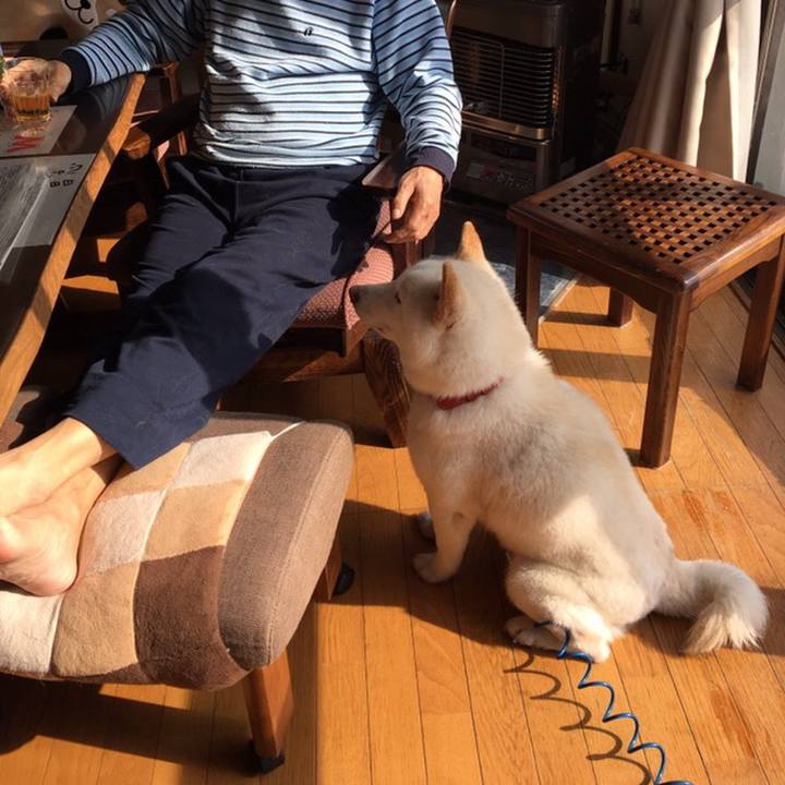 0fadb1bb f6b9 4b1e b016 01f74ec6c82a 1553289609888