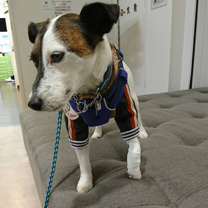 0fadb6e9 de03 431a 90b1 0e297cf2d738 1612501051895