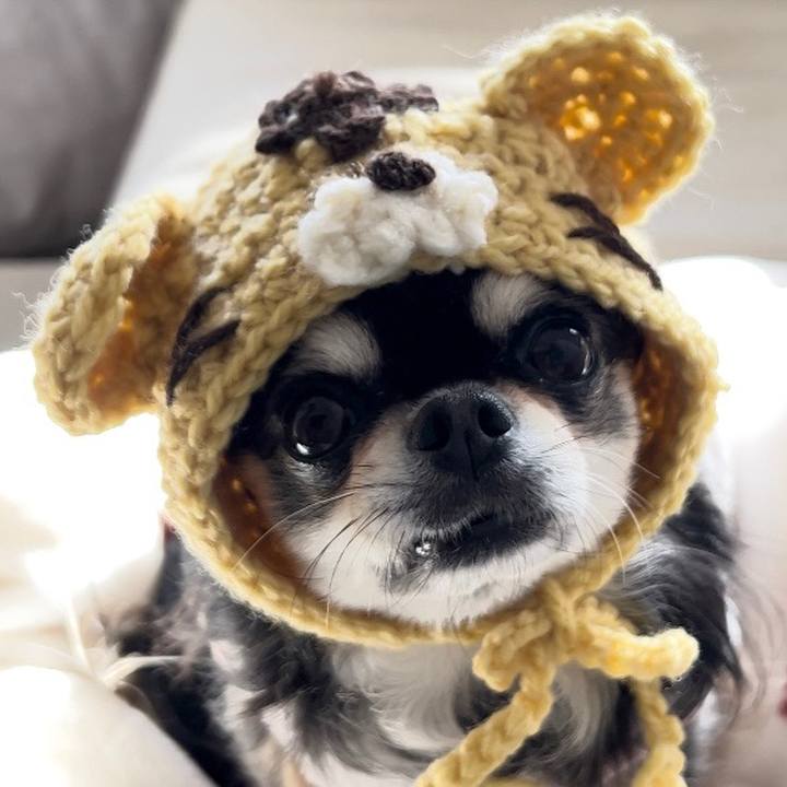 0fade191 b651 4b9d bd55 05bbba1135e2 1671537043652