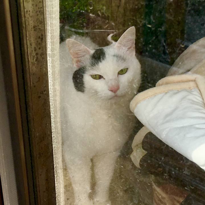 0fade65c 5129 40cc 944c 0c37552ace8f 1556056161119