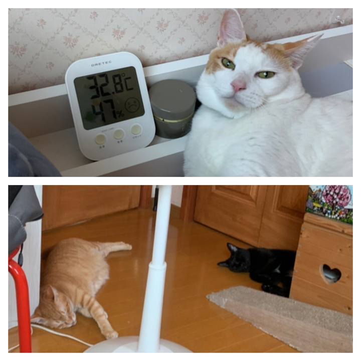 0fadee6f 91b7 4ef2 9264 3d7894046073 1564911529488