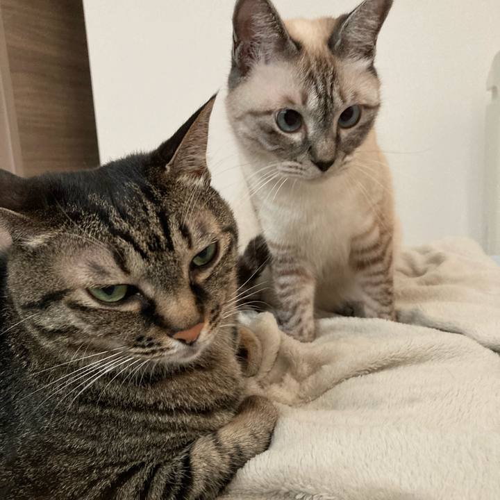 0fadf2ad ff8b 4d2f 9cea e9b92de87886 1595060291211