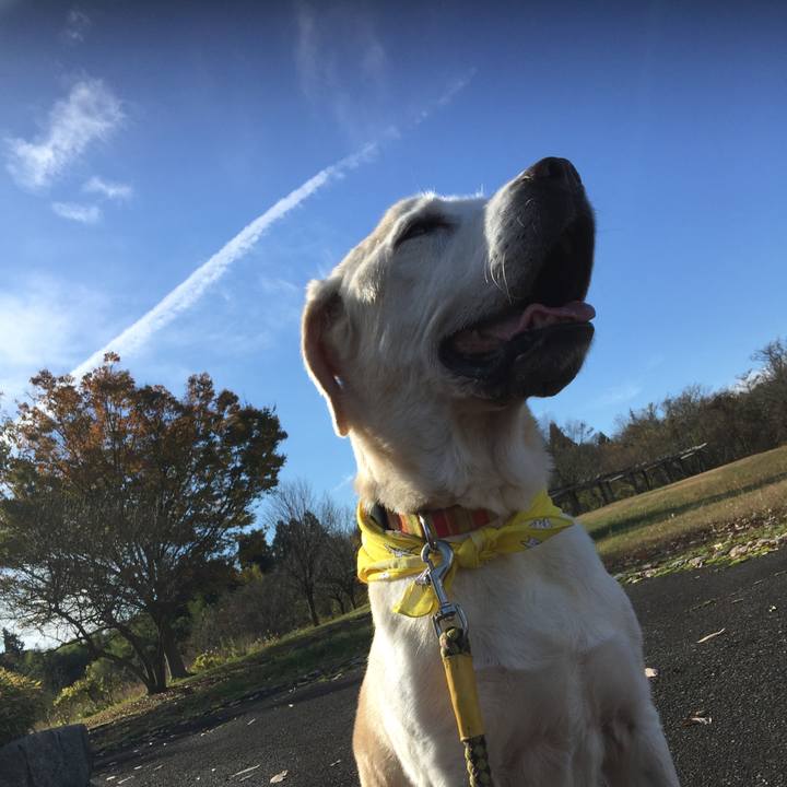 0fae1092 60e6 4908 a190 f8edd06e9589 1569625905296