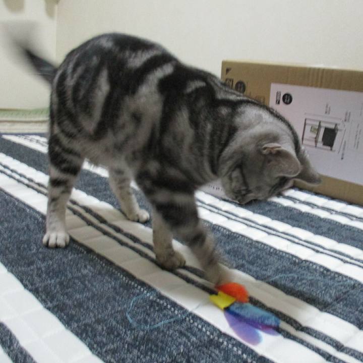 0fae2ee3 d73e 4c5a 89c2 e78bdd7080ed 1549336653967