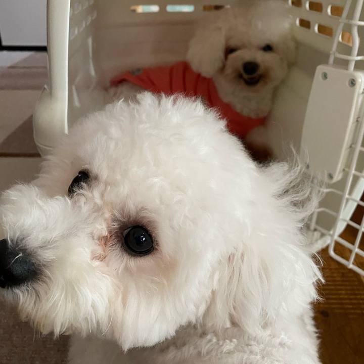 0fae4189 318f 4c30 84b3 e55967ab5246 1759639122474