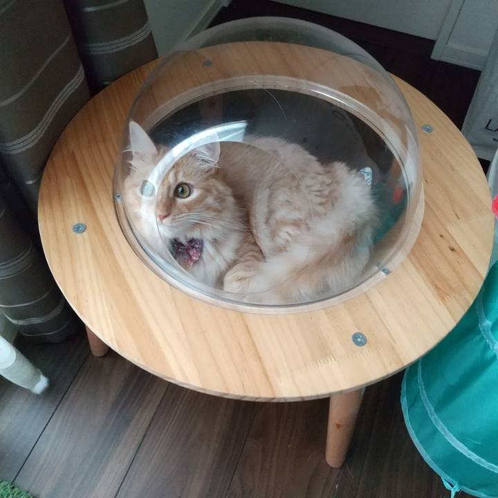 0fae55a4 730f 4004 9227 acb9d8f4a2dc 1631071815170