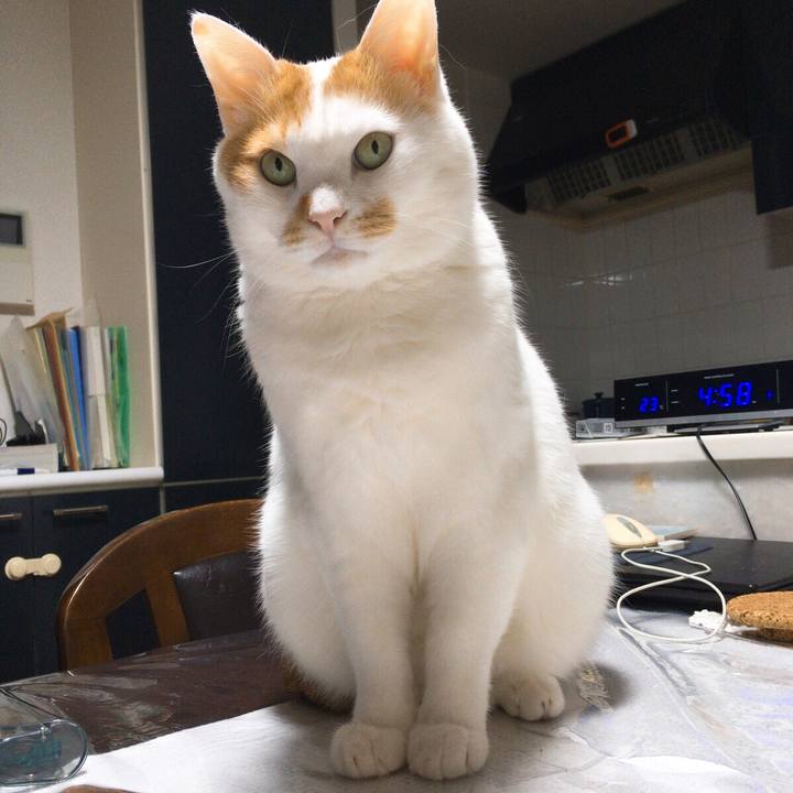 0fae898c 9a81 483f 8447 a5c92b1a3ffc 1513341968064