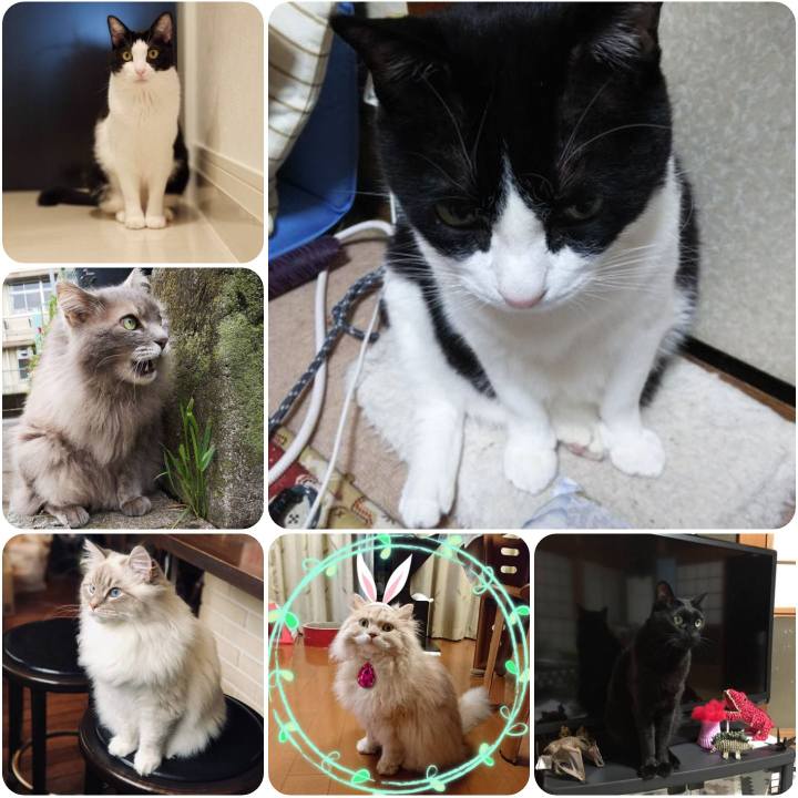 0fae90dd 8d7a 4056 baa1 39b4e8faa66d 1557104377852